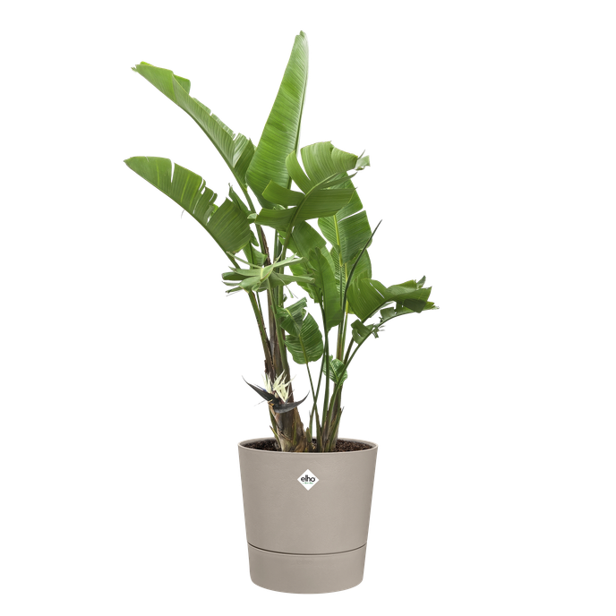 foss round 25cm mushroom beige